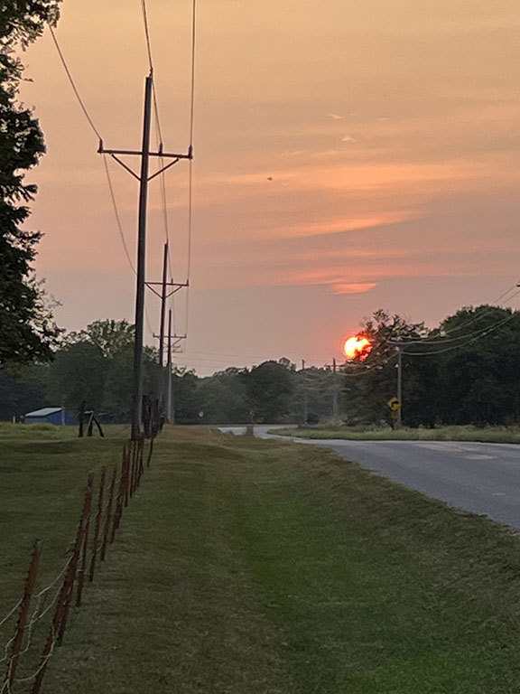 Farm at sunset