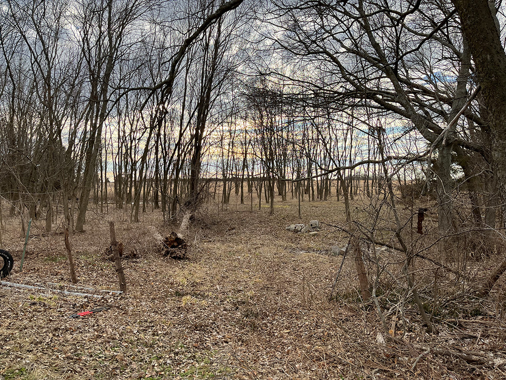 Wooded lot